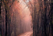 国际米兰对阵热那亚，这场意甲对决的比分会如何？